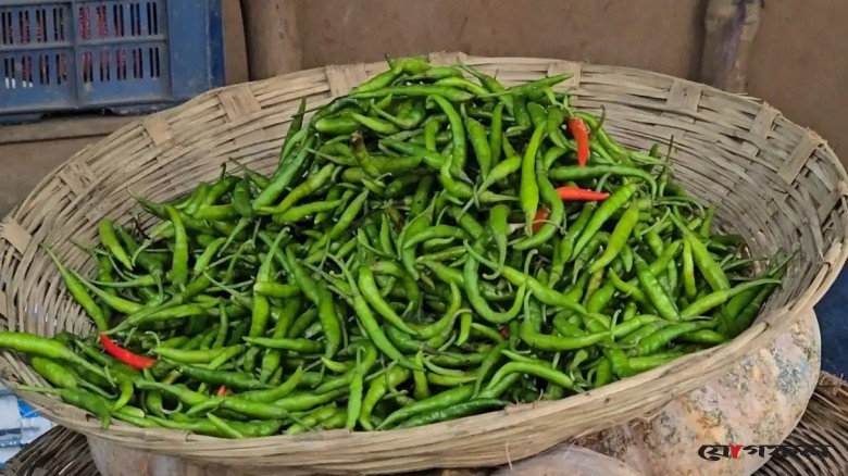 ভারতীয় মরিচে স্বস্তি, হিলিতে কেজি ১২০ টাকা
