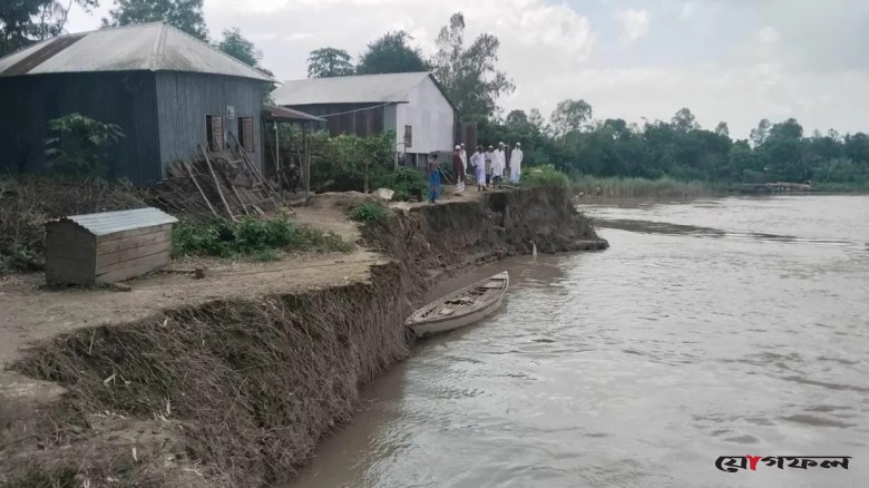যমুনার ভয়াল ভাঙনে ভিটেমাটি হারাচ্ছে পরিবার, আতঙ্কে নদীপাড়ের মানুষ