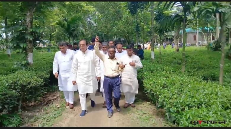 লালমনিরহাটে চা-চাষ সম্ভাবনার নতুন দিগন্ত খুলেছে: দুলু