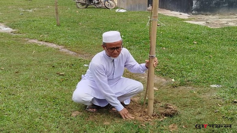 নিজের টাকায় কৃষ্ণচূড়া গাছ লাগিয়ে চলেছেন ‘ছমির স্যার’