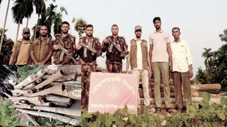 উখিয়ায় বনবিভাগ-বিজিবির যৌথ অভিযানে ৫০ টুকরা গোলকাঠ ও ২ মোটরসাইকেল জব্দ