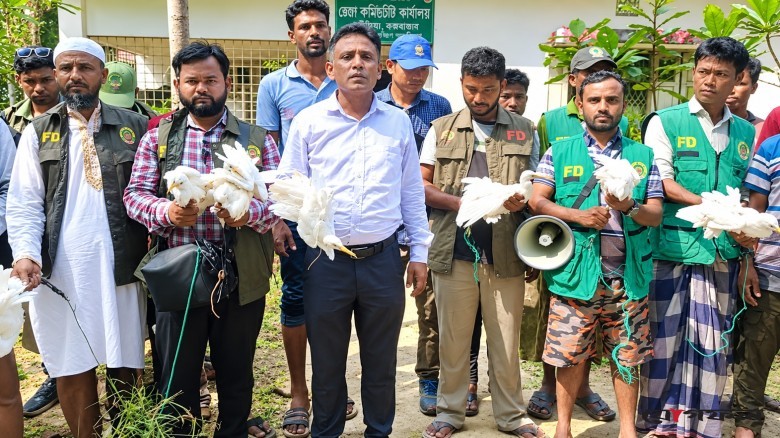 উখিয়ায় বক শিকারের বিরুদ্ধে বন বিভাগের অভিযান, ১২ বক জীবিত উদ্ধার!