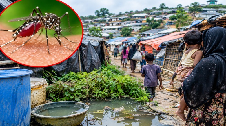 রোহিঙ্গা শরনার্থী ক্যাম্পে ডেঙ্গুর ভয়াবহ থাবা, চলতি বছরে মৃতের সংখ্যা-১০