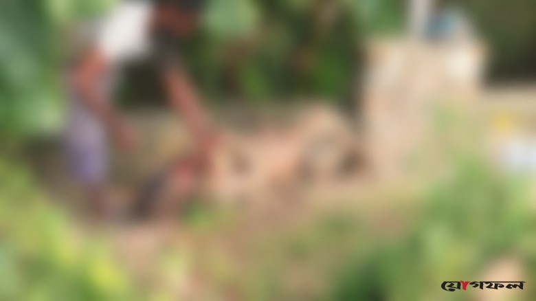 বেলকুচিতে মাটির নিচে পুতে রাখা মরদেহ উদ্ধার