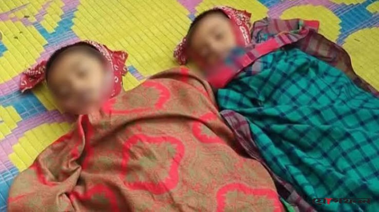 নেত্রকোনায় বিদ্যুৎস্পৃষ্ট হয়ে দুই ভাইয়ের মৃত্যু