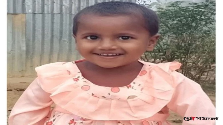 ঢিল ছোড়া ও কামড় দেওয়ার ক্ষোভে শিশু হালিমাকে হত্যা, আসামির স্বীকারোক্তি