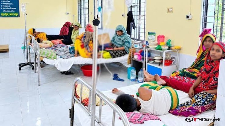 লালমোহনে বাড়ছে ডেঙ্গুর প্রকোপ, ১০ দিনে হাসপাতালে ভর্তি ২৪ রোগী