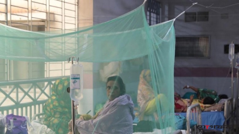 ২৪ ঘণ্টায় ডেঙ্গুতে ৭ মৃত্যু, হাসপাতালে ভর্তি ১,৮৭২ জন