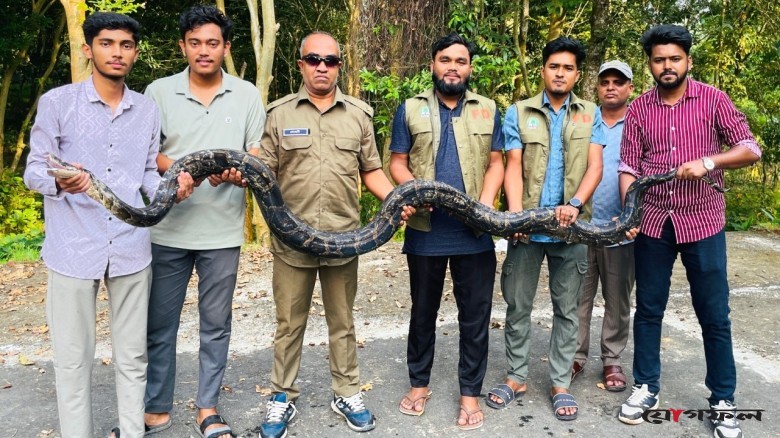 মিরসরাইয়ে ১২ ফুটের অজগর উদ্ধার, মহামায়া ইকোপার্কে অবমুক্ত