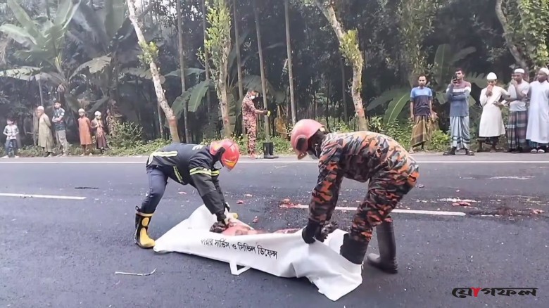 ঢাকা-খুলনা মহাসড়কে অজ্ঞাত গাড়ির ধাক্কায় নিহত বৃদ্ধা, পরিচয় মেলেনি